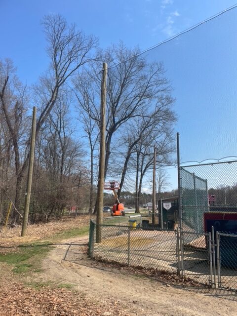 Backstop Netting